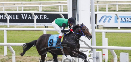 Domingo 1º de julio de 2018 - Hipódromo Nacional de Maroñas