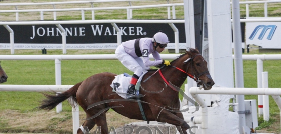 Domingo 8 de julio de 2018 - Hipódromo Nacional de Maroñas