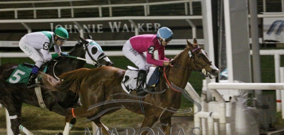 Domingo 15 de julio de 2018 - Hipódromo Nacional de Maroñas