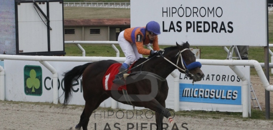 Miércoles 18 de julio de 2018 - Hipódromo Las Piedras