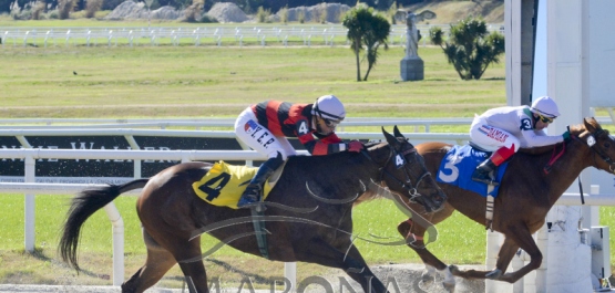 Sábado 21 de julio de 2018 - Hipódromo Nacional de Maroñas