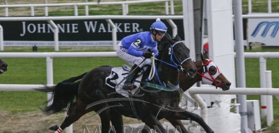 Domingo 22 de julio de 2018 - Hipódromo Nacional de Maroñas