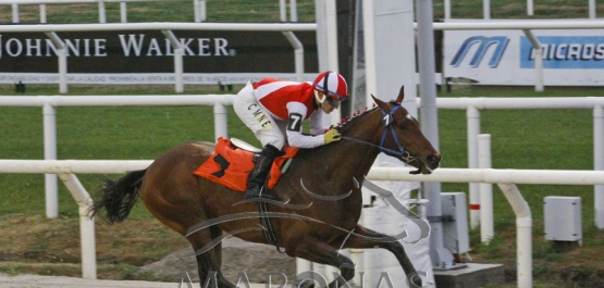 Viernes 27 de julio de 2018 - Hipódromo Nacional de Maroñas