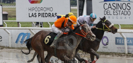 Sábado 28 de julio de 2018 - Hipódromo Las Piedras