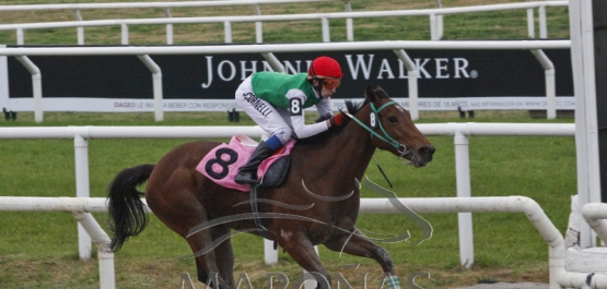 Domingo 29 de julio de 2018 - Hipódromo Nacional de Maroñas