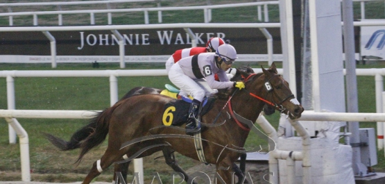 Viernes 10 de agosto de 2018 - Hipódromo Nacional de Maroñas