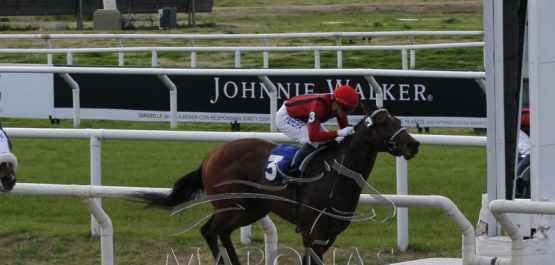 Domingo 12 de agosto de 2018 - Hipódromo Nacional de Maroñas