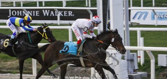 Viernes 17 de agosto de 2018 - Hipódromo Nacional de Maroñas