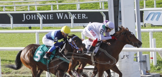 Domingo 19 de agosto de 2018 - Hipódromo Nacional de Maroñas