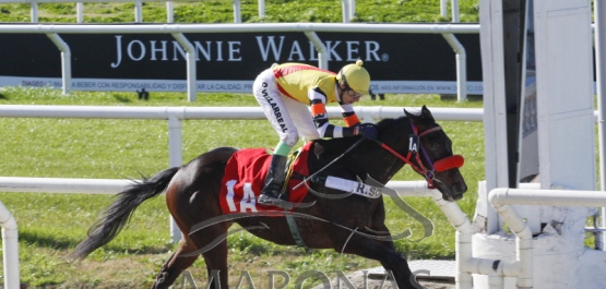 Domingo 26 de agosto de 2018 - Hipódromo Nacional de Maroñas