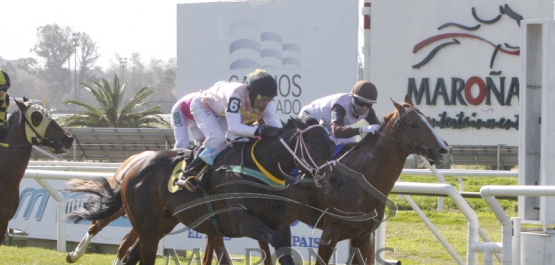 Domingo 2 de setiembre de 2018 - Hipódromo Nacional de Maroñas