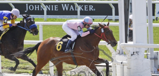 Domingo 9 de setiembre de 2018 - Hipódromo Nacional de Maroñas