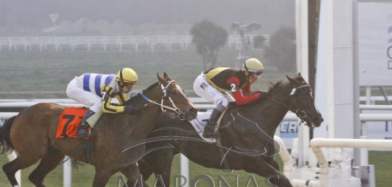 Viernes 14 de setiembre de 2018 - Hipódromo Nacional de Maroñas