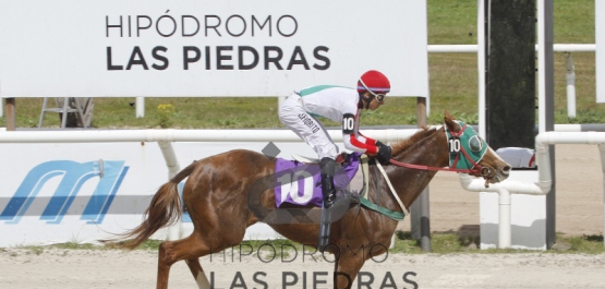 Sábado 15 de setiembre de 2018 - Hipódromo Las Piedras