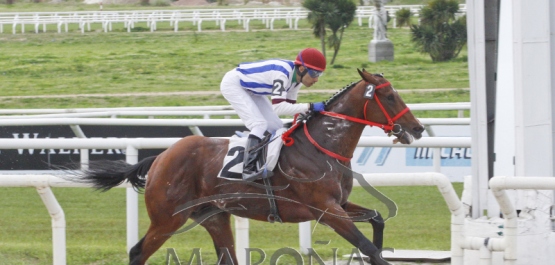 Domingo 16 de setiembre de 2018 - Hipódromo Nacional de Maroñas