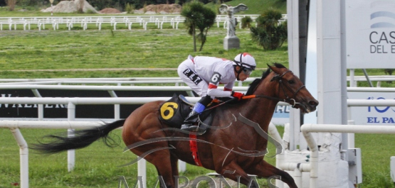 Domingo 23 de setiembre de 2018- Hipódromo Nacional de Maroñas