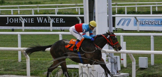 Viernes 28 de setiembre de 2018 - Hipódromo Nacional de Maroñas