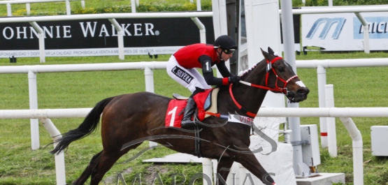 Domingo 30 de setiembre de 2018 - Hipódromo Nacional de Maroñas