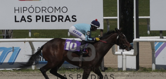 Sábado 7 de octubre de 2018 - Hipódromo Las Piedras