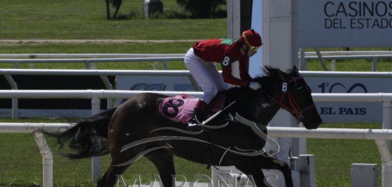 Domingo 7 de octubre de 2018 - Hipódromo Nacional de Maroñas