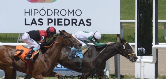 Sábado 13 de octubre de 2018 - Hipódromo Nacional de Maroñas