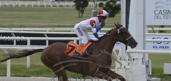 Domingo 21 de octubre de 2018 - Hipódromo Nacional de Maroñas