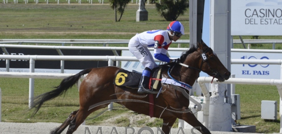 Domingo 28 de octubre de 2018 - Hipódromo Nacional de Maroñas