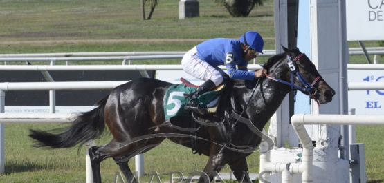 Sábado 3 de noviembre de 2018 - Hipódromo Nacional de Maroñas