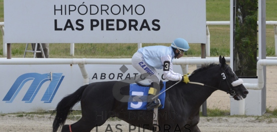 CLÁSICO 81º ANIVERSARIO DEL HIPÓDROMO LAS PIEDRAS