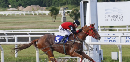 Viernes 9 de noviembre de 2018 - Hipódromo Nacional de Maroñas