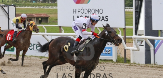 Sábado 10 de noviembre de 2018 - Hipódromo Las Piedras