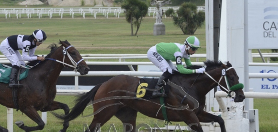 Domingo 11 de noviembre de 2018 - Hipódromo Nacional de Maroñas