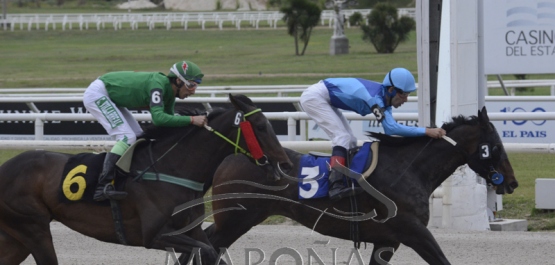 Viernes 16 de noviembre de 2018 - Hipódromo Nacional de Maroñas