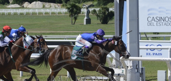 Domingo 18 de noviembre de 2018 - Hipódromo Nacional de Maroñas