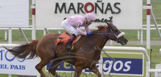 Viernes 23 de noviembre de 2018 - Hipódromo Nacional de Maroñas