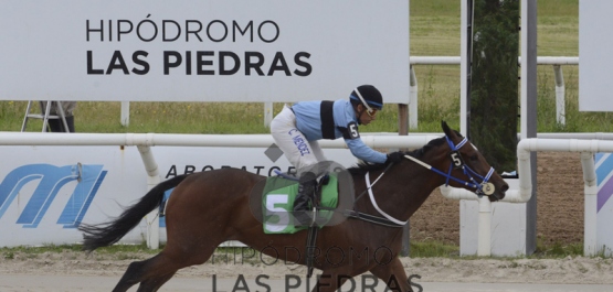 Sábado 24 de noviembre de 2018 - Hipódromo Las Piedras