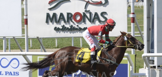 Domingo 25 de noviembre de 2018 - Hipódromo Nacional de Maroñas