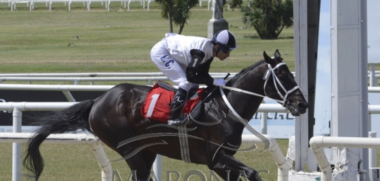 Sábado 1º de diciembre de 2018 - Hipódromo Nacional de Maroñas