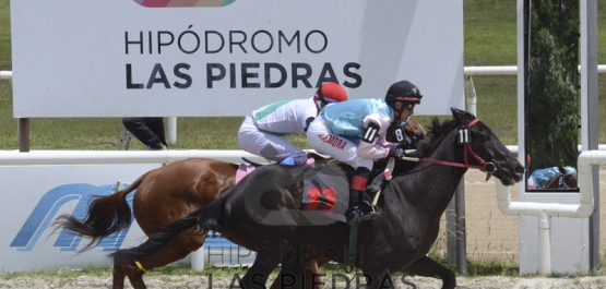 Domingo 2 de noviembre de 2018 - Hipódromo Las Piedras