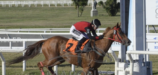 Viernes 7 de diciembre de 2018 - Hipódromo Nacional de Maroñas