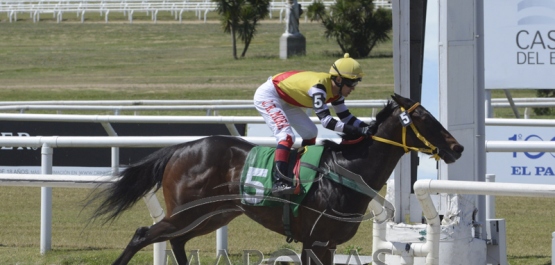 Domingo 9 de diciembre de 2018 - Hipódromo Nacional de Maroñas