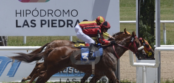 Sábado 15 de diciembre de 2018 - Hipódromo Las Piedras