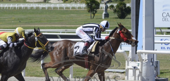 Domingo 16 de diciembre de 2018 - Hipódromo Nacional de Maroñas