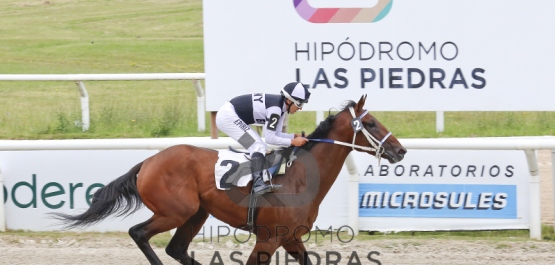 Sábado 22 de diciembre de 2018 - Hipódromo Las Piedras