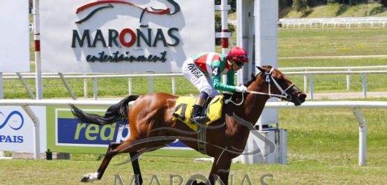 Domingo 23 de diciembre de 2018 - Hipódromo Nacional de Maroñas