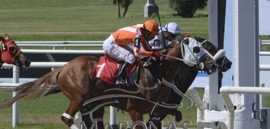 Domingo 30 de diciembre de 2018 - Hipódromo Nacional de Maroñas