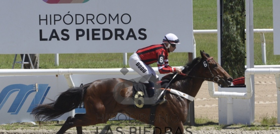 Sábado 5 de enero de 2019 - Hipódromo Las Piedras