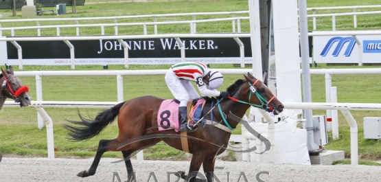 Domingo 6 de enero de 2018 - Hipódromo Nacional de Maroñas