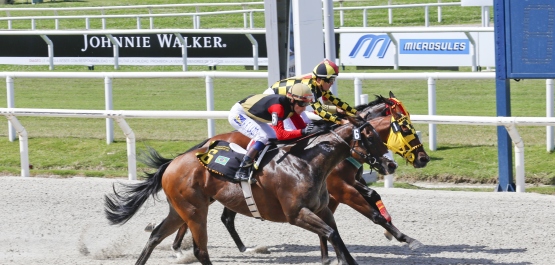 GRAN PREMIO MAROÑAS