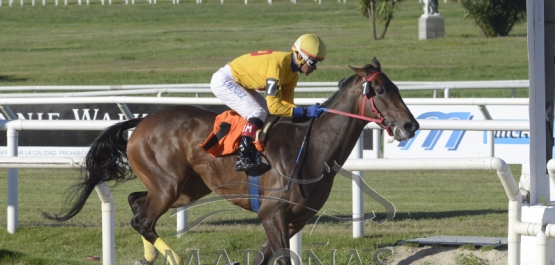 Viernes 11 de enero de 2019 - Hipódromo Nacional de Maroñas